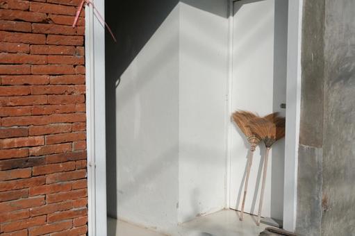 Asian Broom, JPG