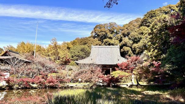 奈良県長岳寺 風景,秋,赤いの写真素材