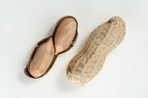 shelled peanuts, JPG