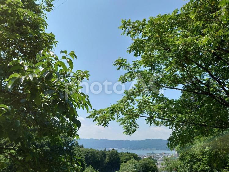 山の上から見る町並み 山,上,木の写真素材