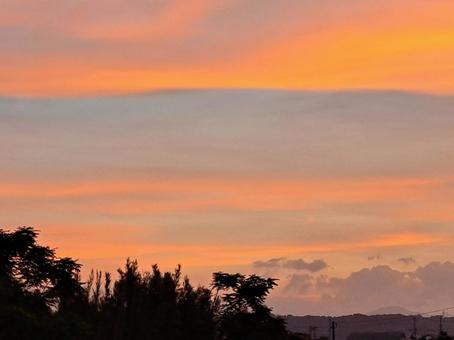 夕陽 夕陽の写真