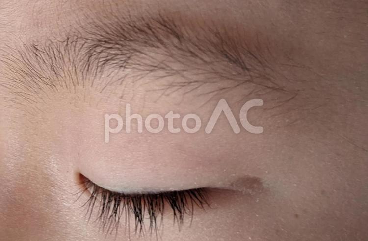 まゆ毛とまつ毛 まゆげ,まつげ,女の子の写真素材