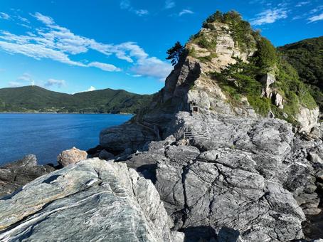 Photo, rhinophyma, cape, peninsula, 