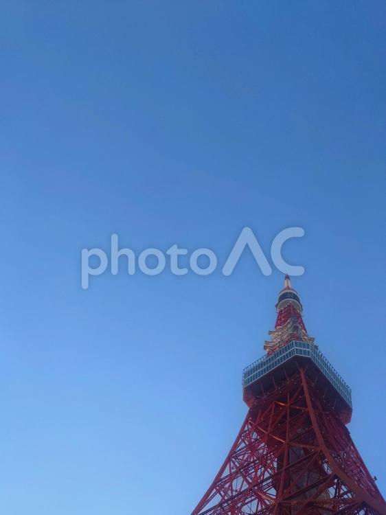 東京タワー（縦、右端） 東京タワー,青空,tokyoの写真素材