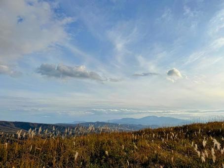 歌島高原の秋風に揺れるススキ 歌島高原,島牧村,北海道の写真素材