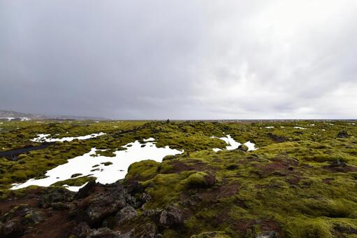 苔に覆われた広大な溶岩原と曇り空﻿ 苔,コケ,モスの写真素材