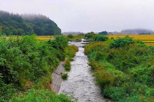 	2025年9月の里山40 用水路,田んぼ,水田の写真素材