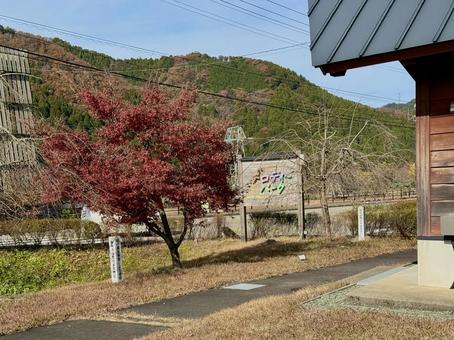 11月　秋の竹田水車メロディーパーク 竹田水車メロディーパーク,自然,水車の写真素材