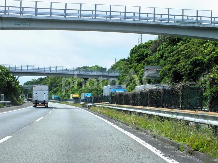 北原東跨道橋　トラックの列が続く高速道 跨道橋,トラック,トラック運転手の写真素材