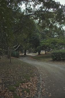 自宅の庭 自宅の庭 公園,小道,古道の写真素材
