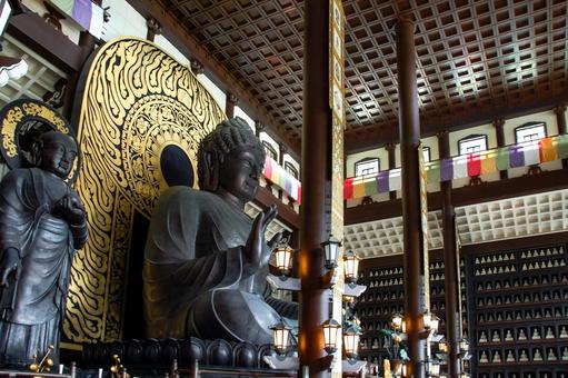 勝山市 清大寺越前大仏（福井） 越前大仏,清大寺,仏像の写真素材