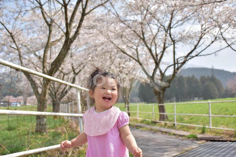 桜と赤ちゃん 赤ちゃん,桜,春の写真素材