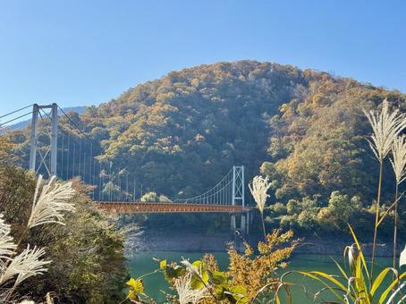九頭竜川夢のかけはし　箱ヶ瀬橋　福井県秋 土木遺産,建造物,夢のかけはしの写真素材