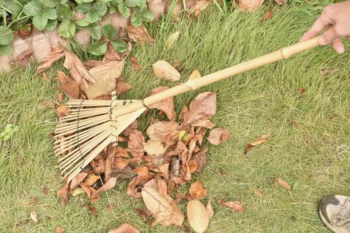 竹の熊手で枯れ葉を集めている人 熊手,落ち葉,集めるの写真素材