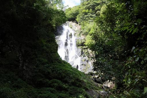 滝 滝の写真