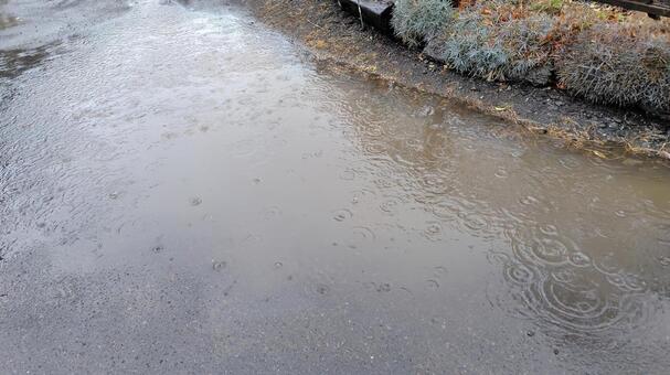 大雨 雨,大雨,悪天候の写真素材