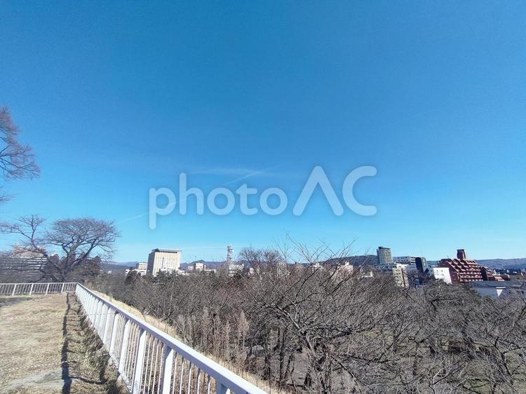高台から 公園,風景,景色の写真素材