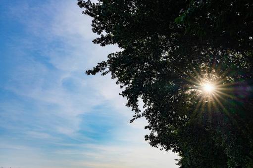太陽の光が差し込む風景 太陽の光が差し込む風景の写真