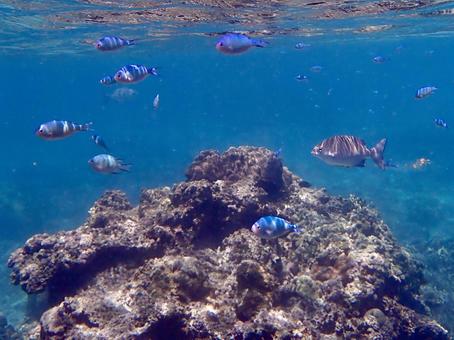 宮古島の海(シギラビーチ) 宮古島の海(シギラビーチ)の写真