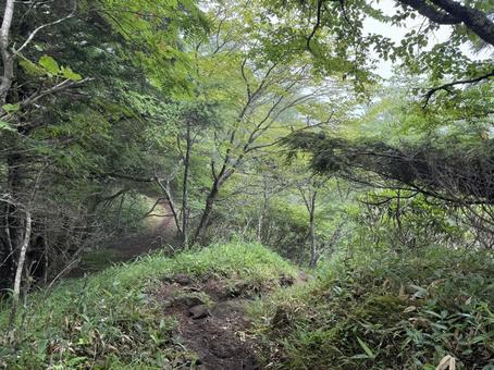 山道 山道の写真