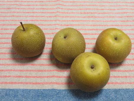 Photo, pear, fruit, fruits, 