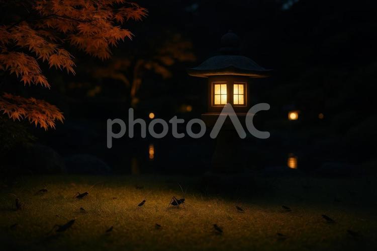 鈴虫の鳴き声響く秋の夜 秋,鈴虫,虫の写真素材