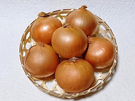 玉ねぎ 玉ねぎ,野菜,食材の写真素材