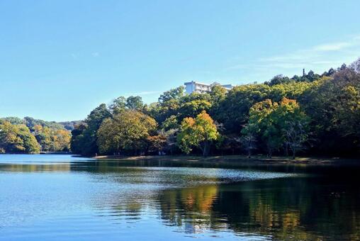 秋の映り込み　一碧湖 映り込み,反射,紅葉の写真素材