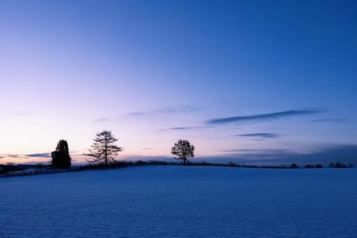 夕暮れの雪原と樹々 夕暮れの雪原と樹々 雪原,木々,夕焼けの写真素材