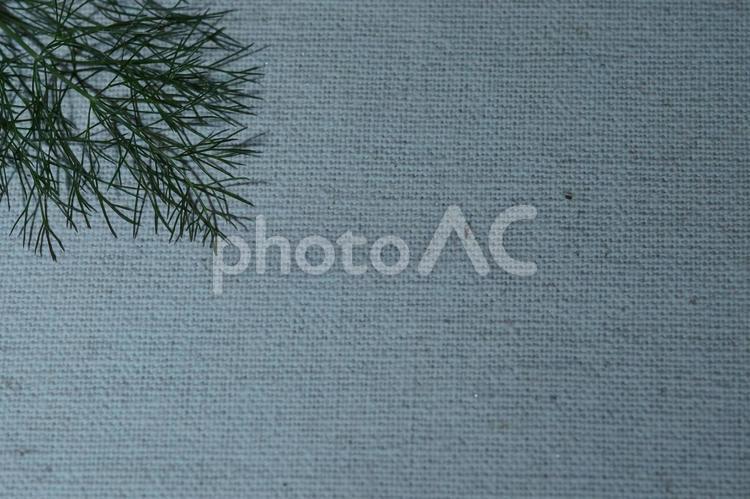 家庭菜園で収穫したばかりのフェンネル フェンネル,ハーブ,背景の写真素材