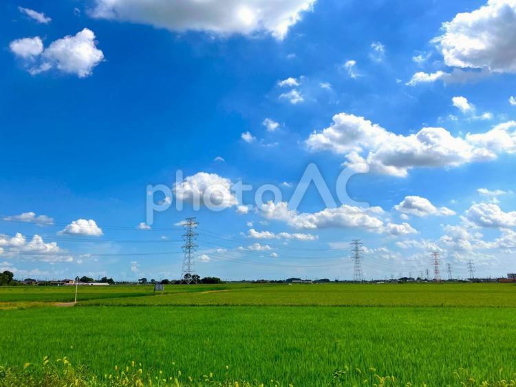 青空の下に広がる田園風景 青空,雲,空の写真素材