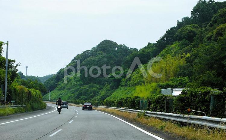 深緑の中　高速道路を走るオートバイ オートバイ,バイク,車の写真素材