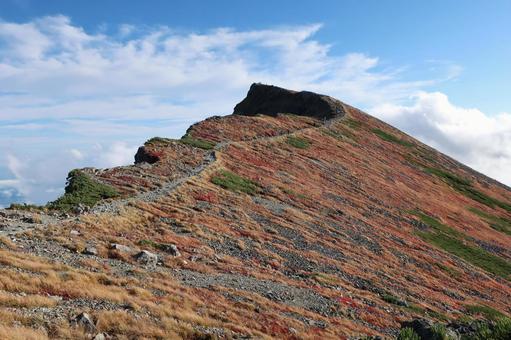 秋の白馬岳 白馬岳,白馬,紅葉の写真素材