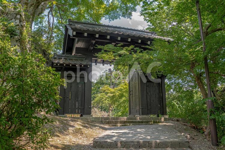 越前大野城　門 越前大野城,大野城,続日本100名城の写真素材