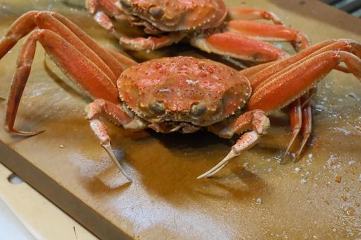 蟹たち 蟹,正面,まな板の写真素材
