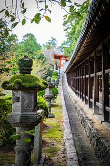 岡山　吉備津神社の風景 吉備津神社,神社,岡山の写真素材