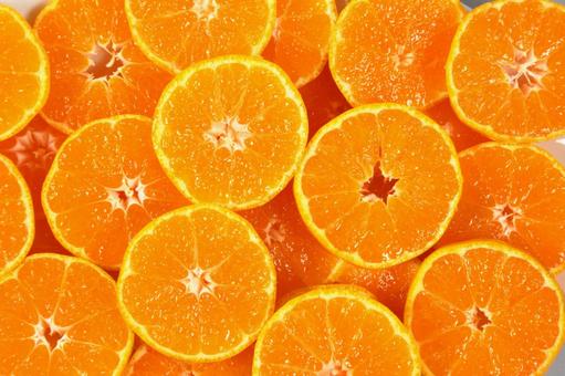 みかん輪切りいっぱい01 みかん,オレンジ,蜜柑の写真素材