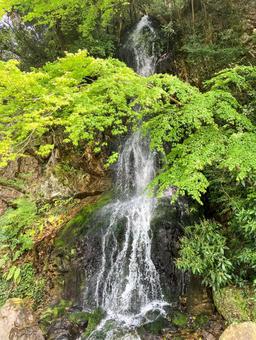 御手洗の滝 岐阜公園 御手洗の滝 岐阜公園の写真