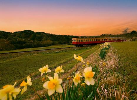 Photo, local train, evening landscape, orange, 