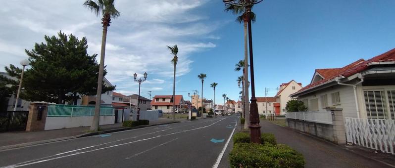 館山駅前のヤシの木 館山駅前のヤシの木の写真