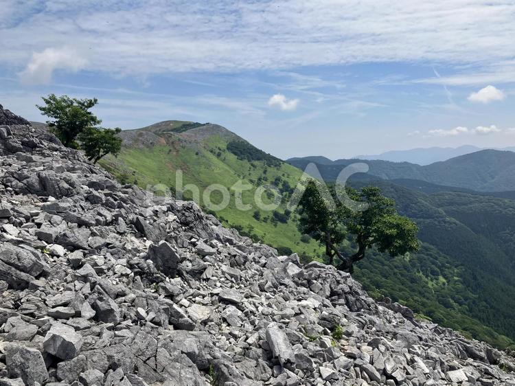 霊仙山　稜線歩き 霊仙山,登山,トレッキングの写真素材