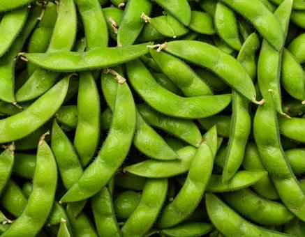 大量の枝豆を敷き詰めた背景 大量の枝豆を敷き詰めた背景の写真