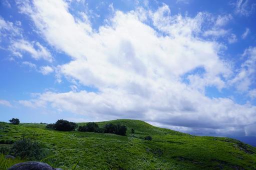 北九州 平尾台の風景 北九州 平尾台の風景 自然,平尾台,風景の写真素材