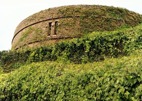 緑のベールをまとう城壁 緑のベールをまとう城壁の写真