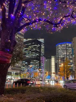 夜景 夜景の写真