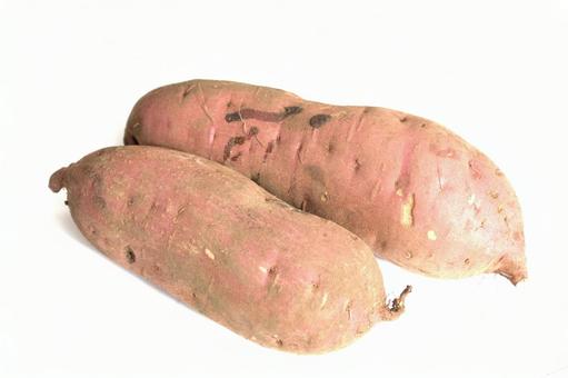 さつまいも　白背景 さつまいも,サツマイモ,野菜の写真素材