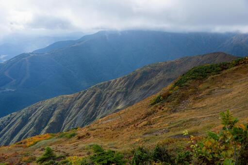 八方尾根の紅葉 白馬,八方尾根,長野の写真素材