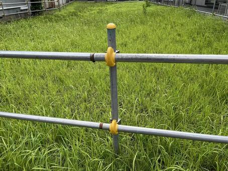 一面に草が生えた更地 一面に草が生えた更地 更地,未利用地,空き地の写真素材