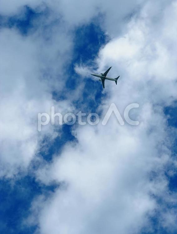 夏の青空と飛行機 青空,雲,飛行機の写真素材