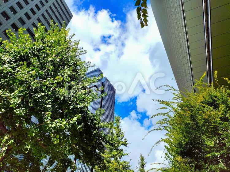 東京のビル街と空と新緑 東京,ビル街,青空の写真素材